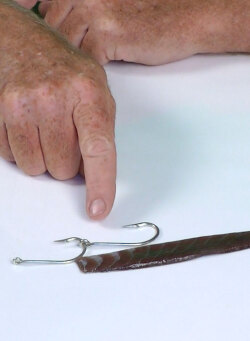 Rigging Strip Baits - Fishing Techniques