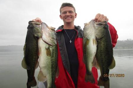 Understanding the Shad Spawn to Catch More Bass