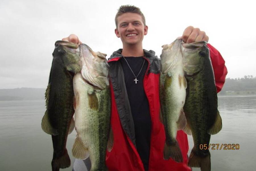 Understanding the Shad Spawn to Catch More Bass