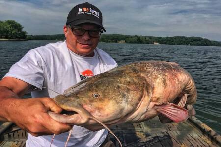 Flathead Catfish caught by Seth Horne
