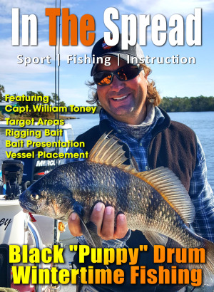 Black Drum Fish caught fishing the Homosassa River