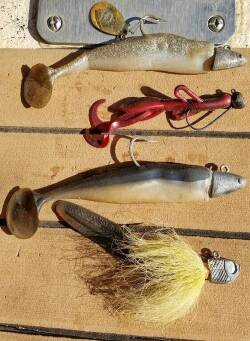 Jigging for Muskie in Clear Skinny Water - Dwayne Hickey