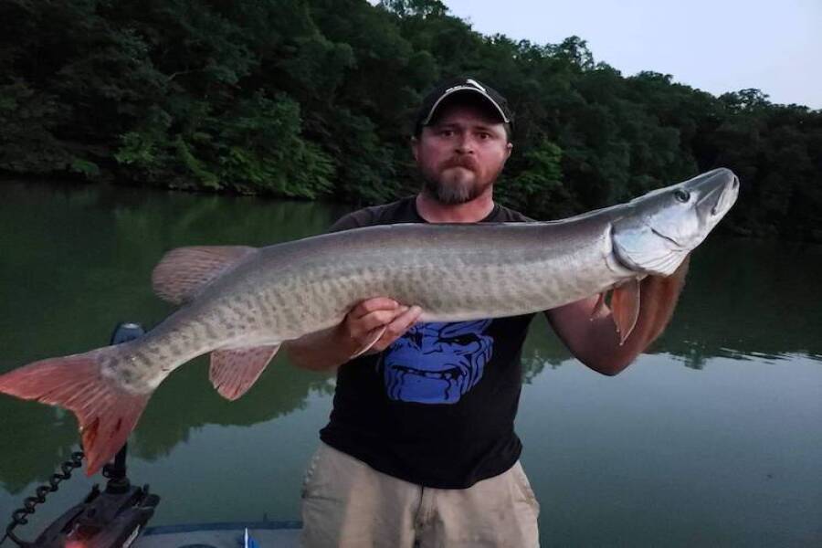 Musky caught Fishing topwater presentations with Cory Allen