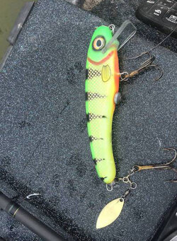 H2O Barbarian - Muskie Fishing Stimulus - Cory Allen