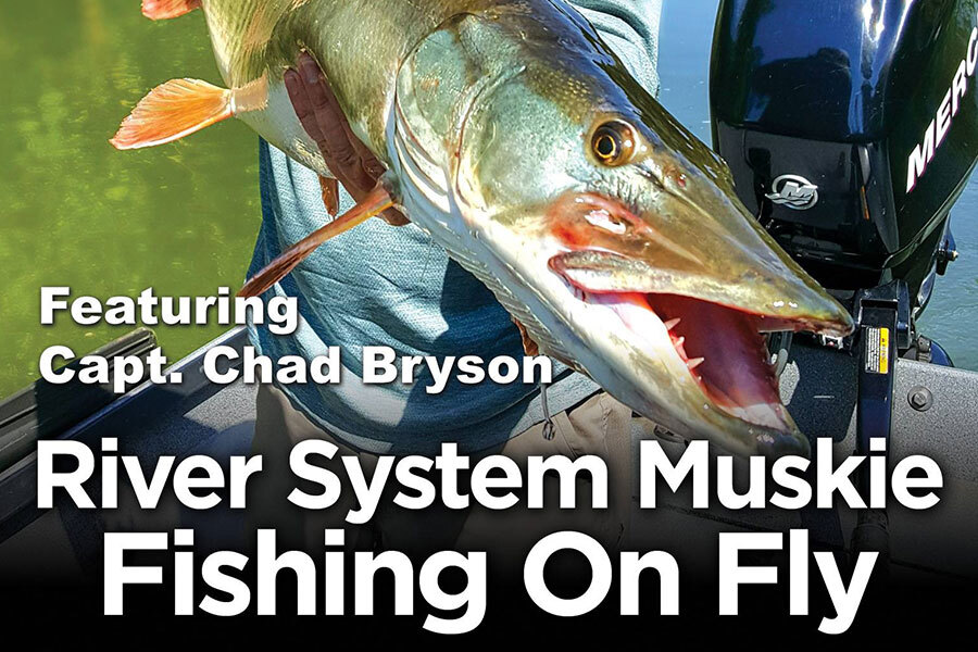 chad bryson holding big collins river musky