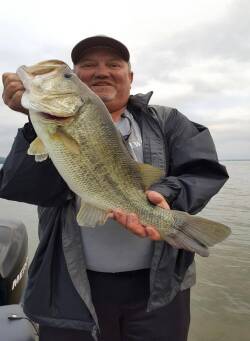 Bass Fishing the Shad Spawn - Captain Mike Gerry