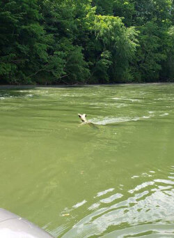 Fishing Rivers - Boat Position is Key