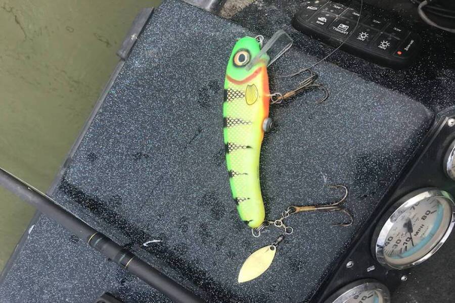 H2O Barbarian - Muskie Fishing Stimulus - Cory Allen