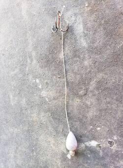 Summer Walleye Fishing - Dwayne Hickey