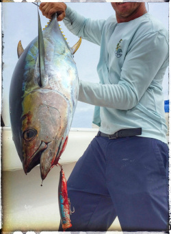 Yellowfin Tuna caught with topwater Lure in Louisiana