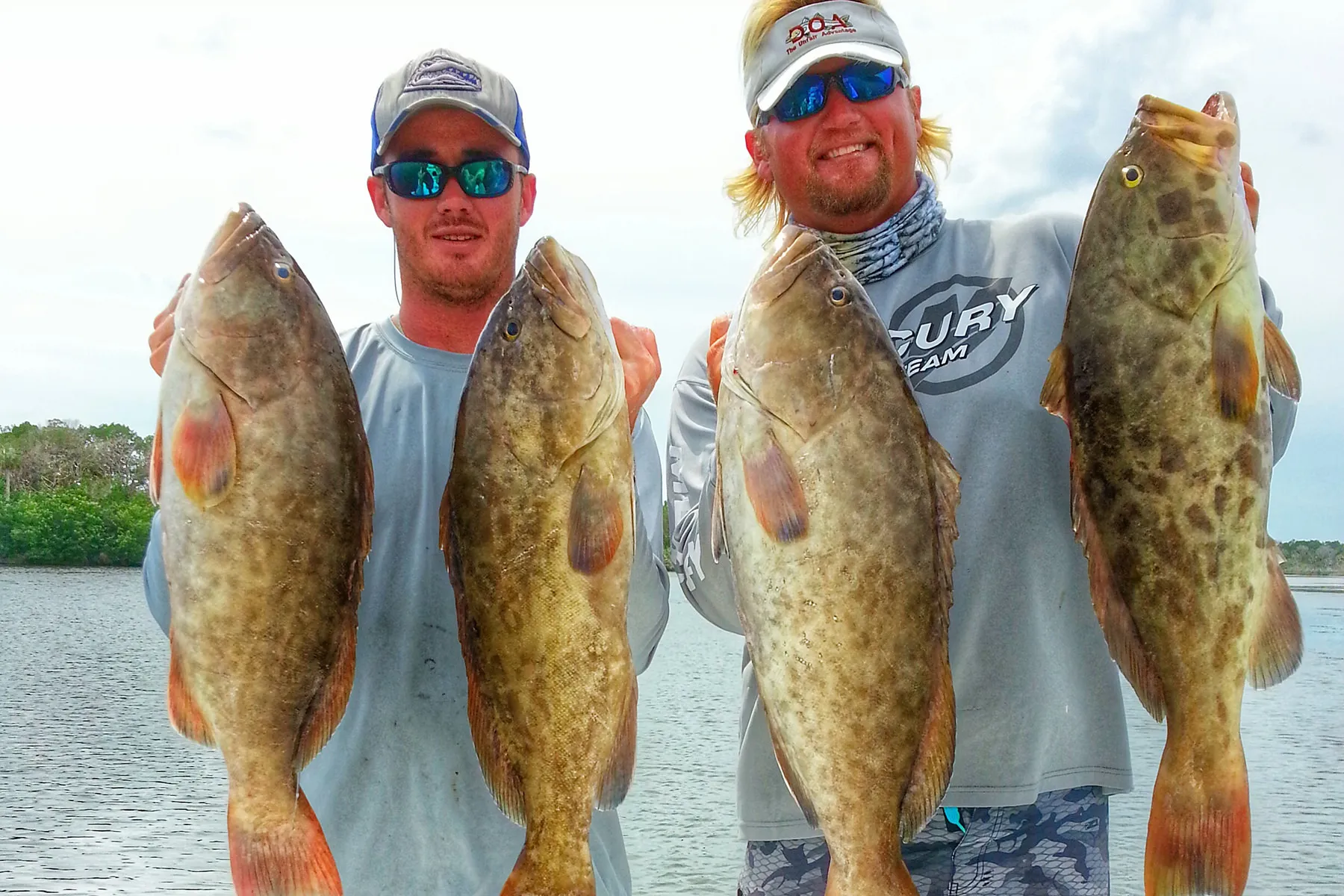 Crystal River gag grouper caught in shallow water