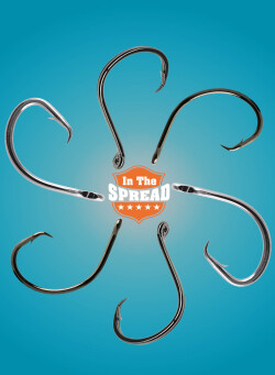 display of fishing hooks used for mangrove snapper