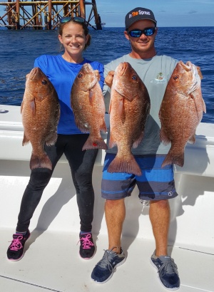 The Basics of Chumming for Mangrove Snapper