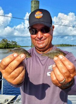 diagram of a pinfish showing exagerated pins all over the fish