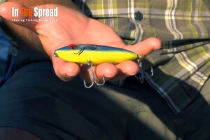 In The Spread summer seatrout fishing course