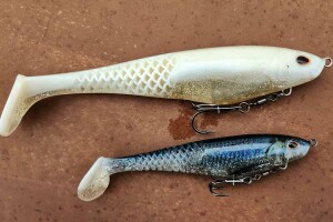 the CullShad from Berkley is perfect for downsized musky fishing presentations