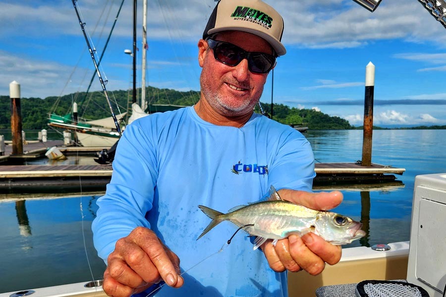 Mike Hennessy shows hook placement to swimming live baits
