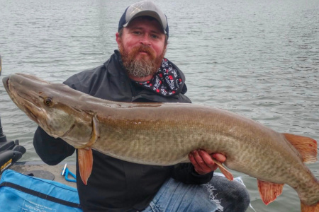 cory allen with a 50 inch muskie  caught in early spring