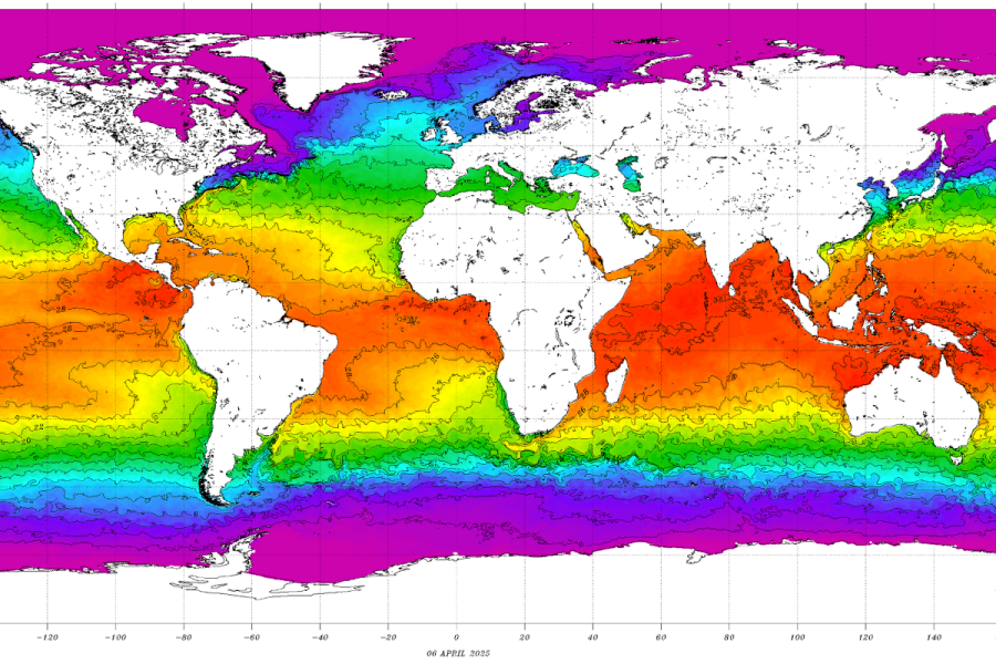 global SST (sea surface temperature) map