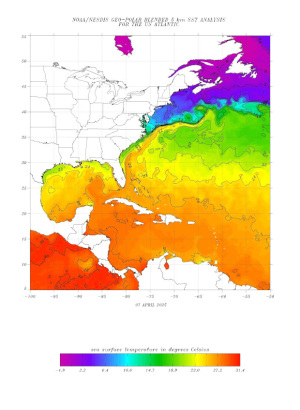 global SST (sea surface temperature) map