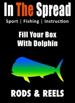 video on rods and reels for mahi mahi dolphin