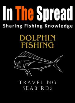 dolphin fishing and traveling seabirds video cover