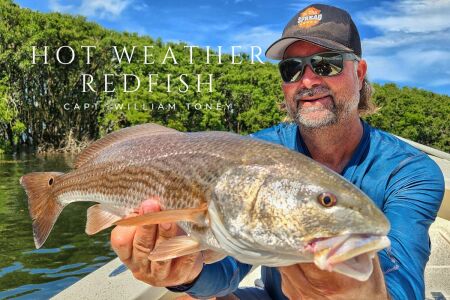 william toney holds a redfish caught in hot weather on Florida's Gulf Coast
