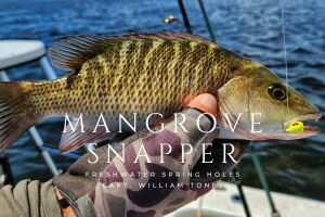 spring hole mangrove snapper caught by William Toney