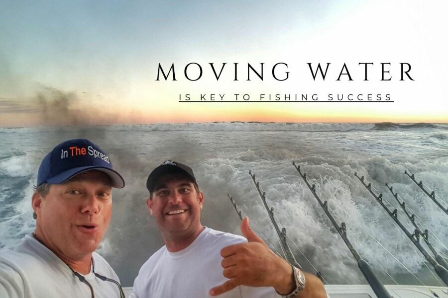 huge outgoing tide in the inlet