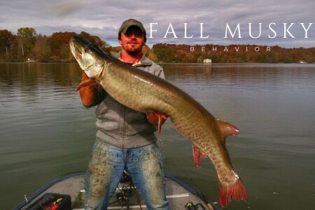 Corey Allen with a trophy fall muskie caught on the Clinch River