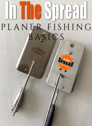 planer fishing basics course promo poster