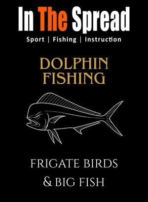In The Spread: Dolphin Fishing and Frigate Birds