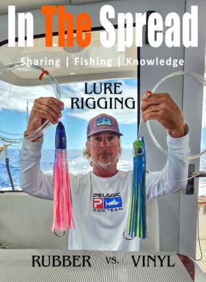Kevin Hibbard holding lures with rubber skirts and vinyl skirts