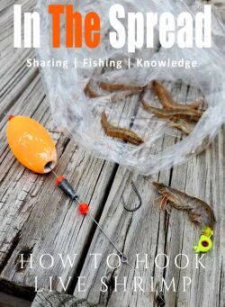 How to Hook Live Shrimp with William Toney fishing course promo poster