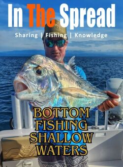 Bottom Fishing Shallow Waters course promo poster