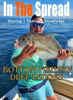 Bottom Fishing Deep Water Ledges course promo poster