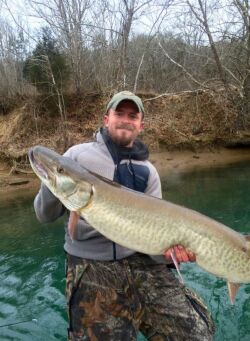 big musky being released by Cory Allen